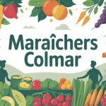 illustration étal maraichers colmar fruits légumes ambiance locale